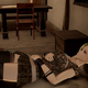 “I wonder how I am going to kill that butterfly thing,” my character thinks as she reclines in her comfy bed back at home base.